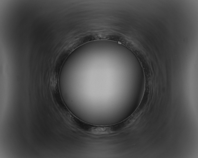 X0000086960129200705071344