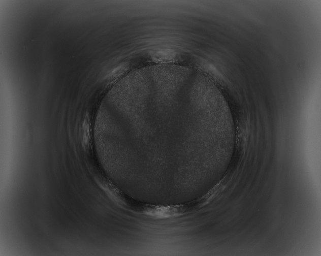 X0000086960130200705071344