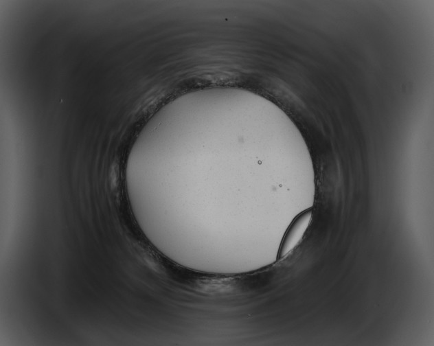X0000086960132200705071344