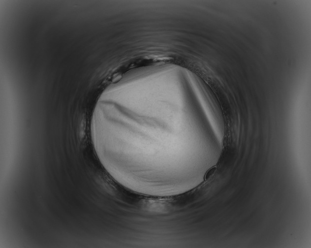 X0000086960134200705071344