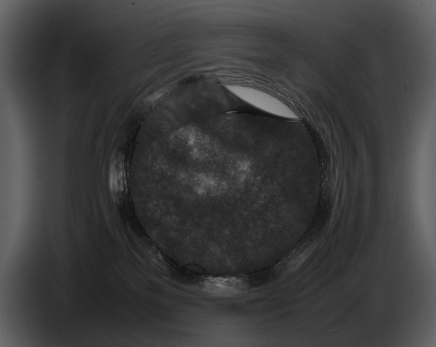 X0000086960137200705071344