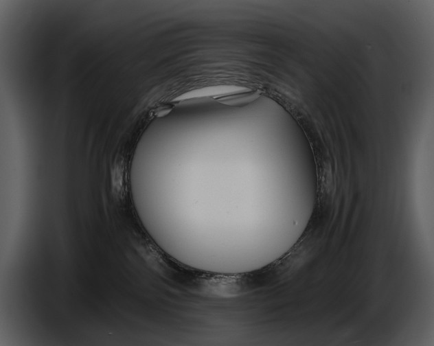 X0000086960138200705071344