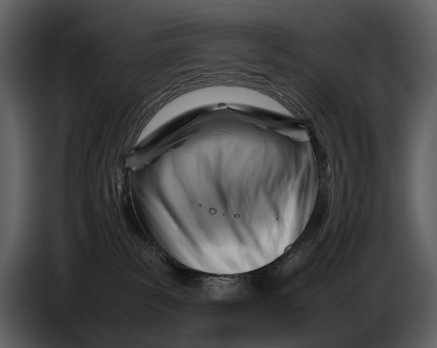 X0000086960139200705071343