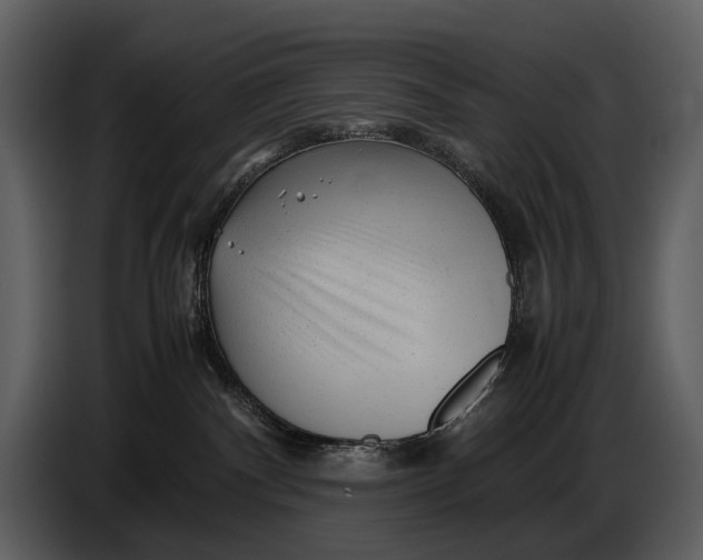 X0000086960140200705071343