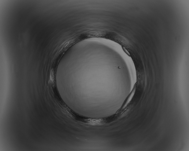 X0000086960143200705071343