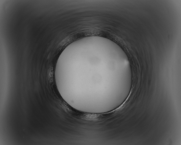 X0000086960144200705071343