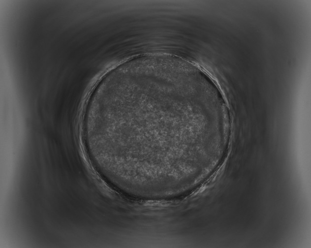 X0000086960145200705071343