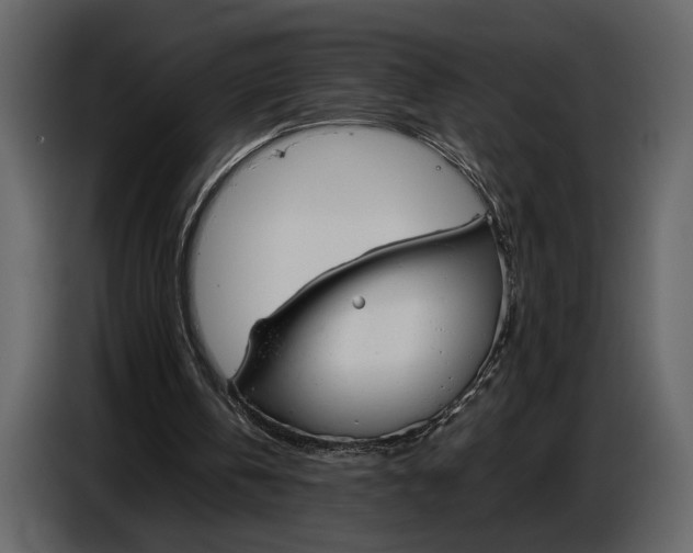 X0000086960146200705071343