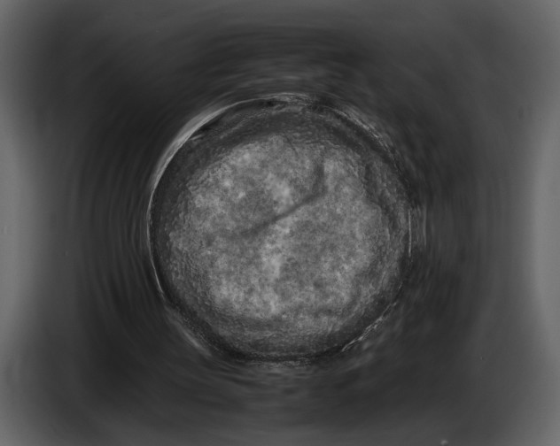 X0000086960147200705071343