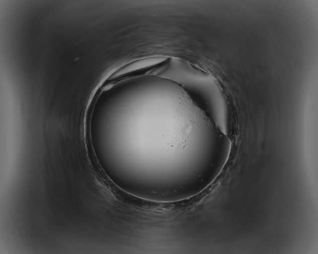 X0000086960148200705071343