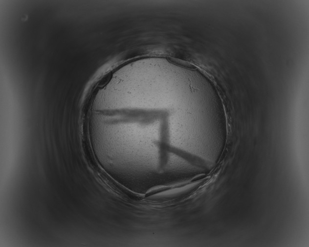 X0000086960149200705071343