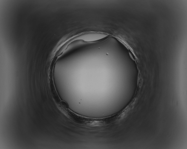 X0000086960151200705071343