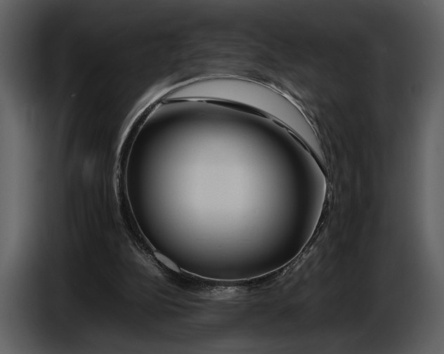 X0000086960152200705071343