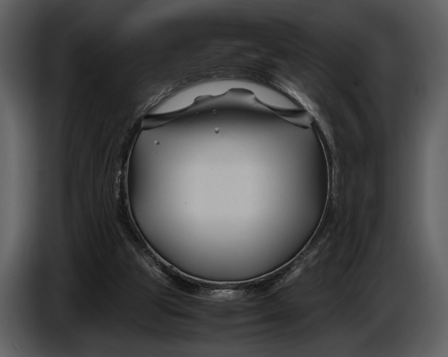X0000086960153200705071343