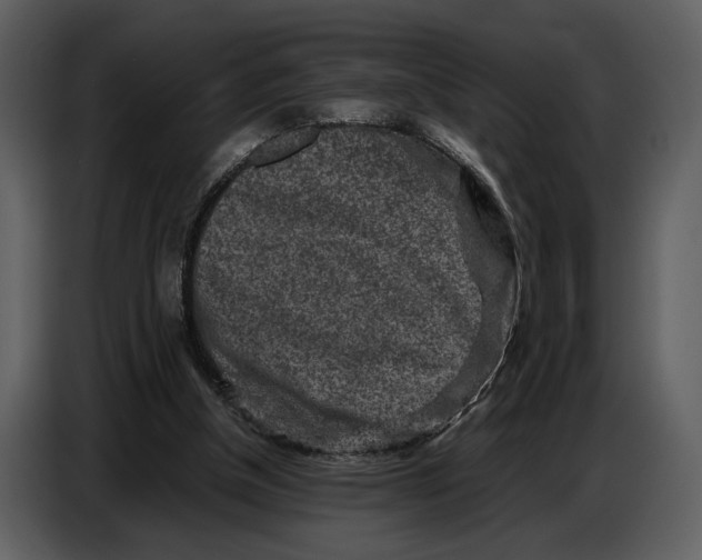 X0000086960154200705071343