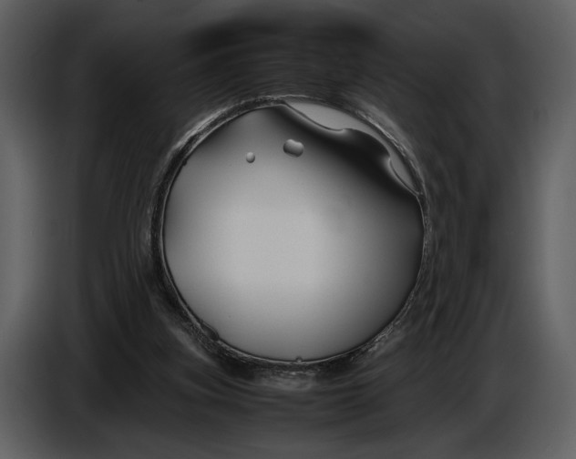 X0000086960155200705071343