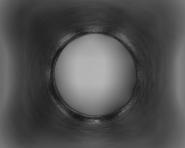 X0000086960159200705071343