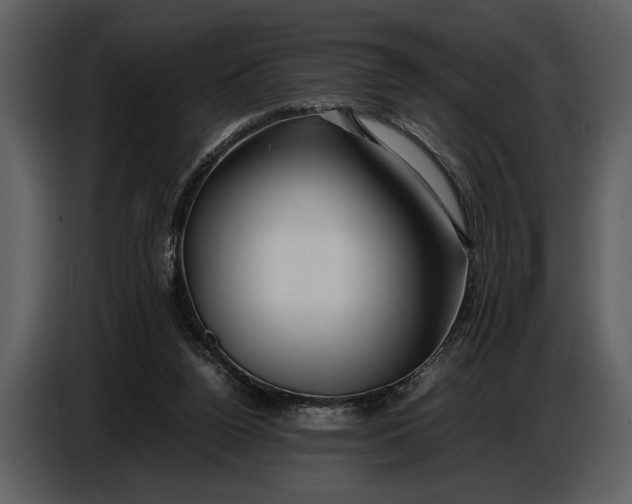 X0000086960160200705071343
