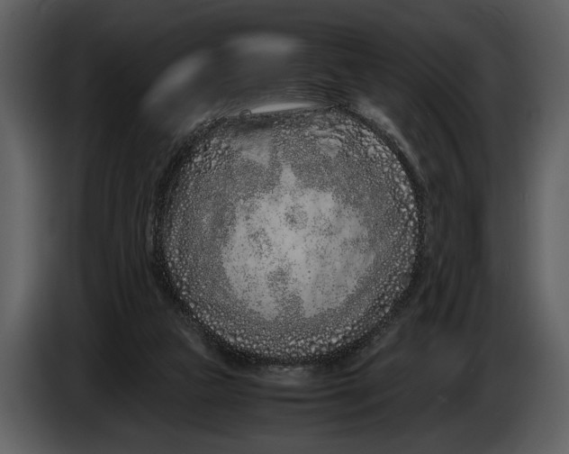 X0000086960161200705071343