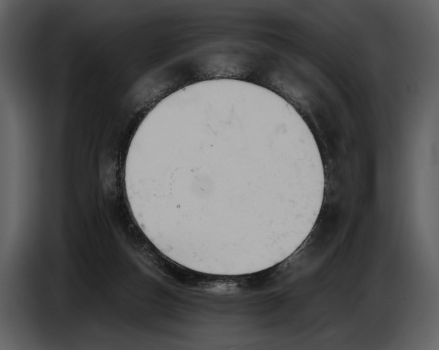 X0000086960162200705071343