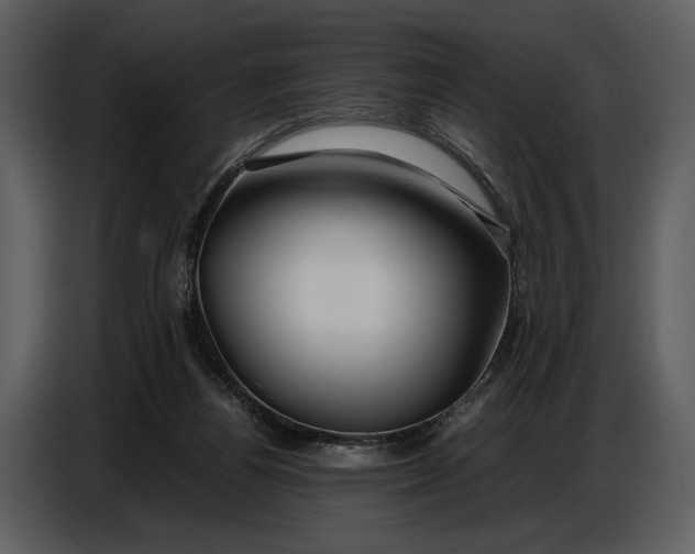 X0000086960164200705071343