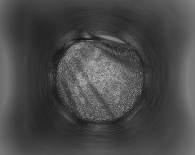 X0000086960165200705071343