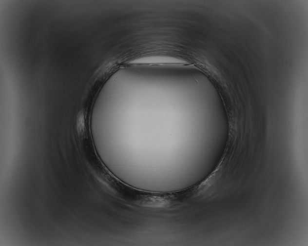 X0000086960166200705071343