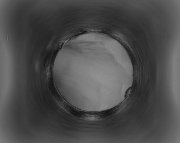 X0000086960167200705071343