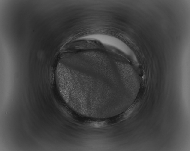 X0000086960168200705071343