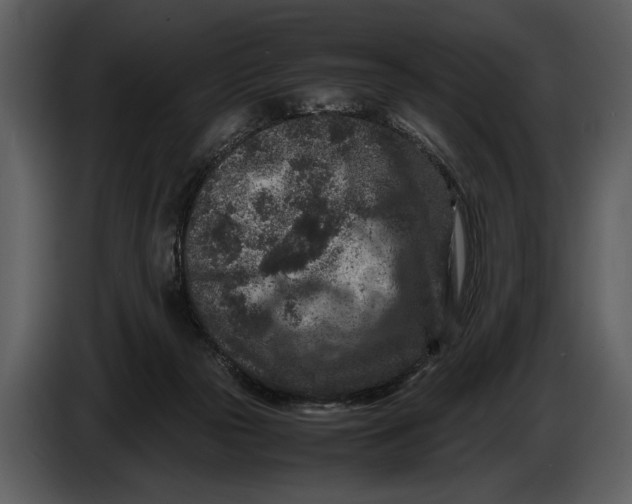 X0000086960169200705071343