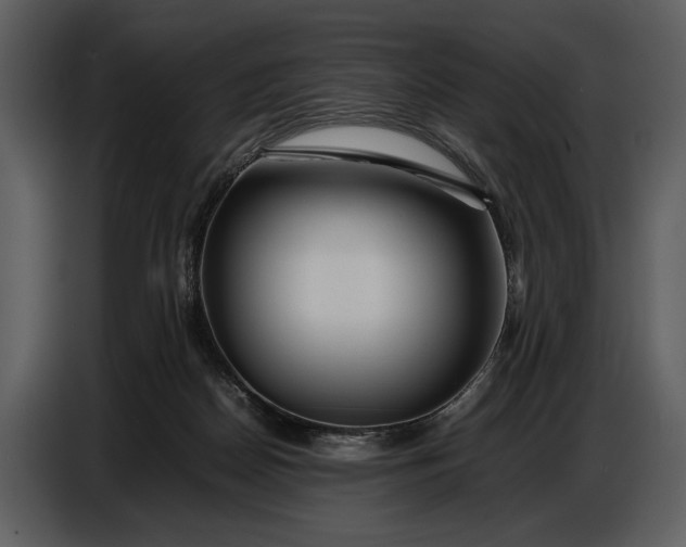 X0000086960170200705071343