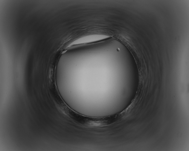 X0000086960171200705071343