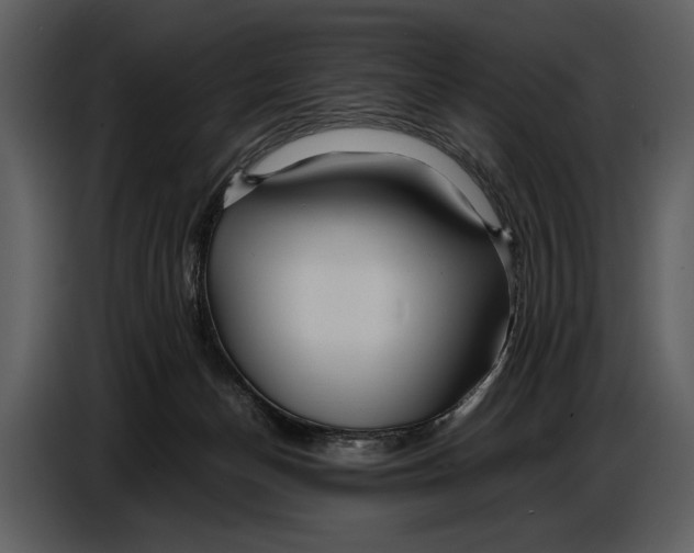 X0000086960174200705071343