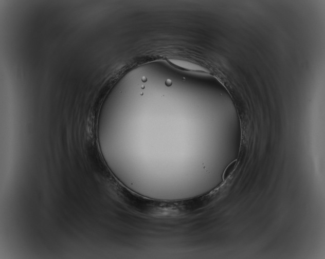 X0000086960175200705071343