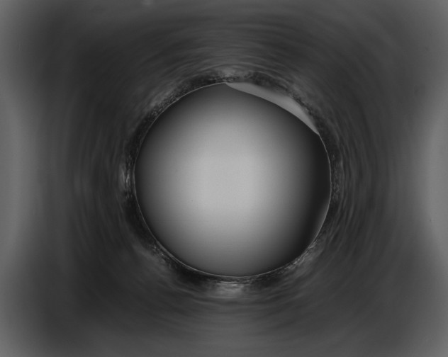 X0000086960176200705071343