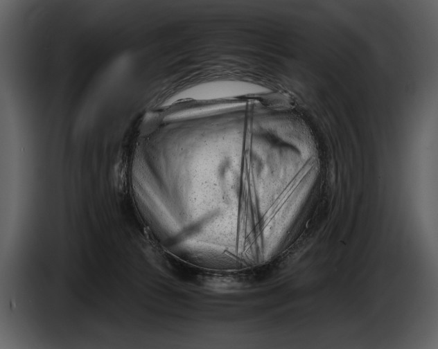 X0000086960177200705071343