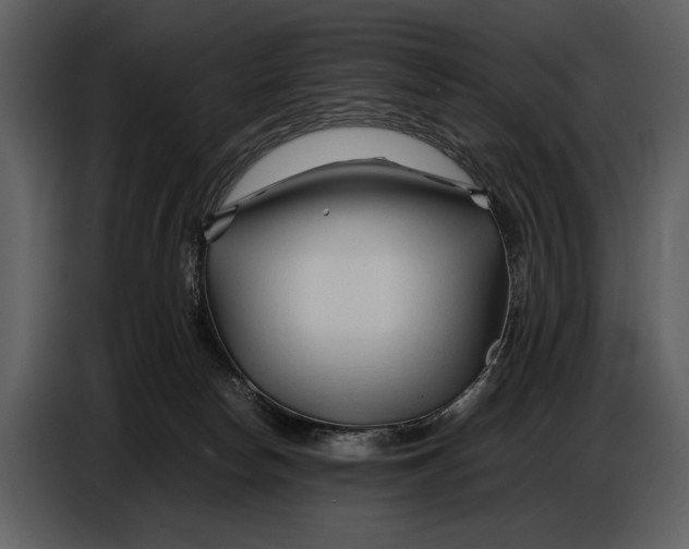 X0000086960178200705071343