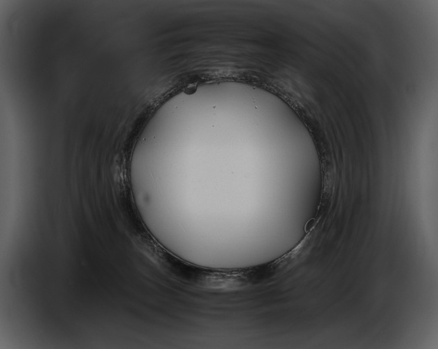 X0000086960179200705071343