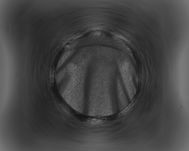 X0000086960180200705071343