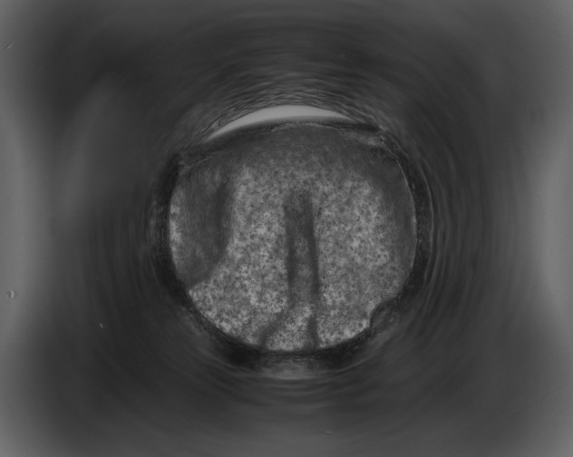 X0000086960181200705071343