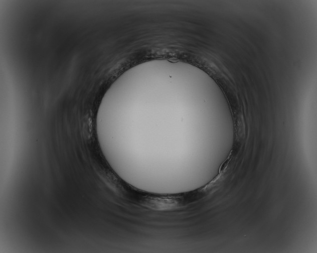 X0000086960183200705071343