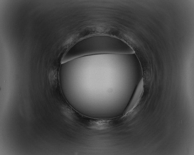 X0000086960184200705071343