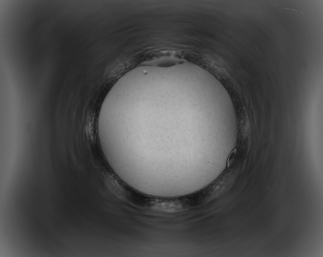 X0000086960185200705071343