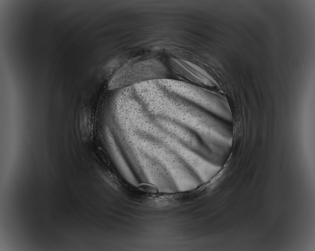 X0000086960186200705071343