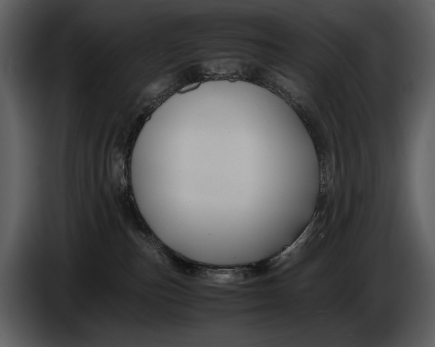 X0000086960187200705071343
