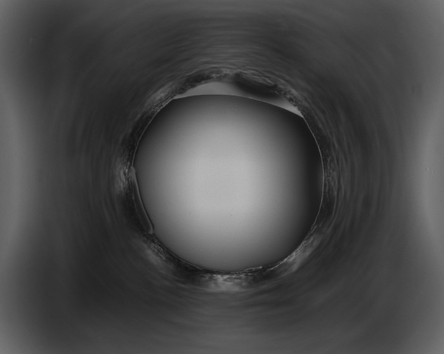 X0000086960188200705071343