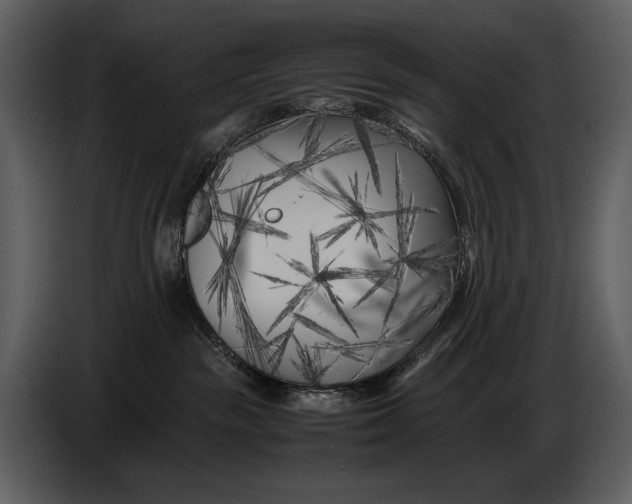 X0000086960189200705071343