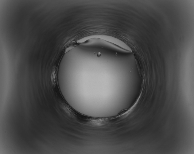 X0000086960190200705071343