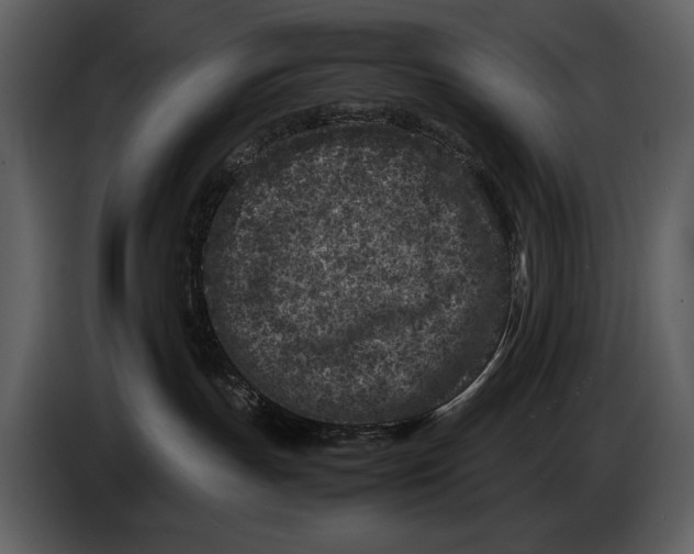 X0000086960191200705071343