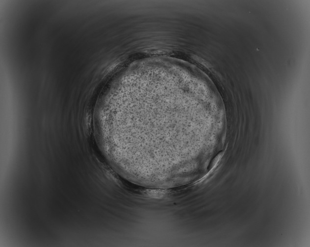 X0000086960192200705071343